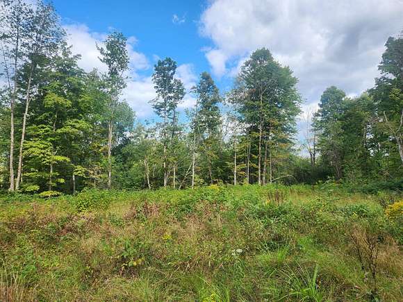 40 Acres of Recreational Land for Sale in Osceola, New York