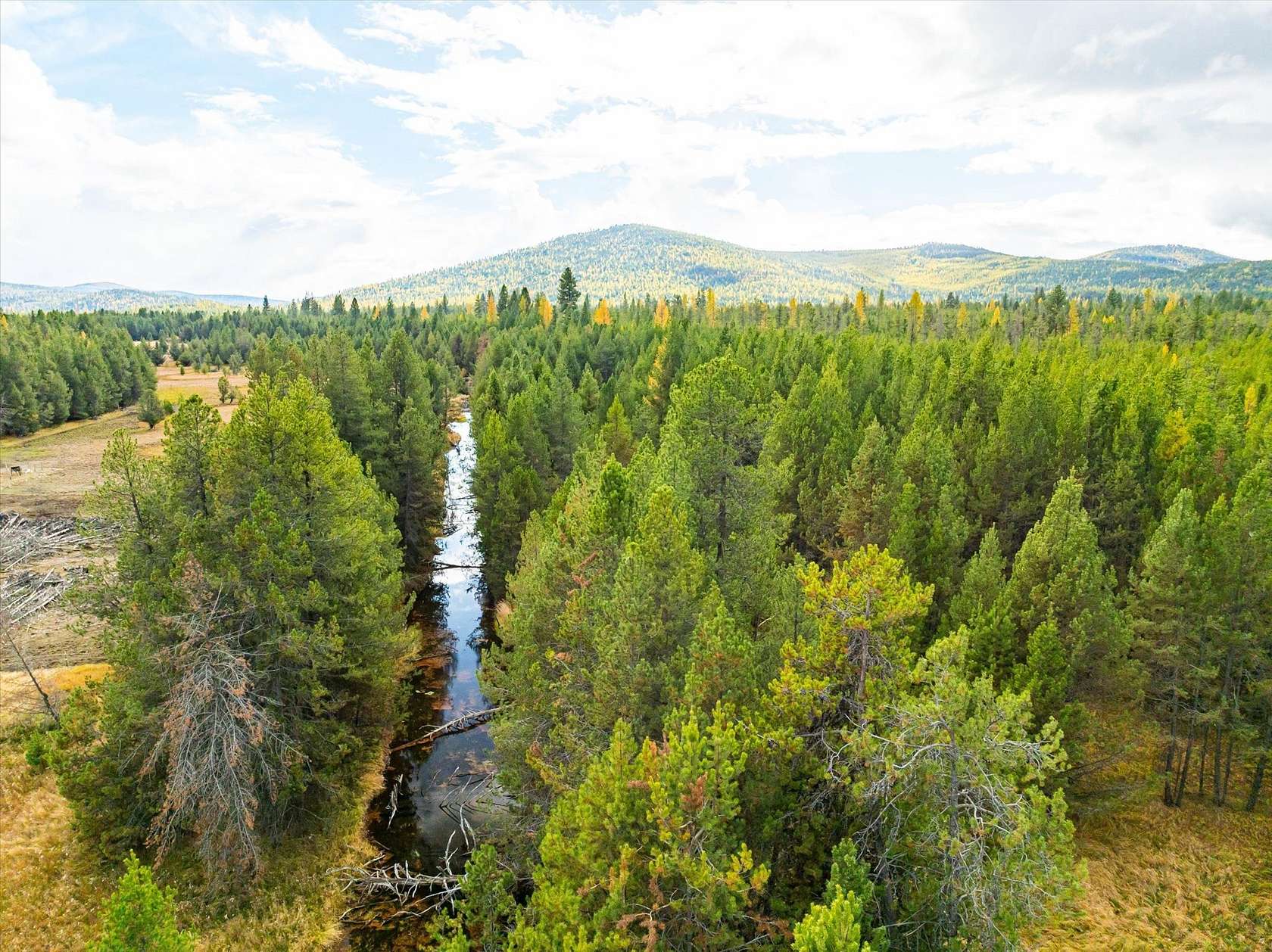 8.6 Acres of Land for Sale in Marion, Montana