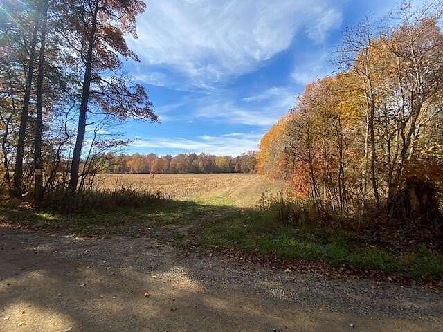 32.12 Acres of Recreational Land for Sale in Grand Junction, Michigan