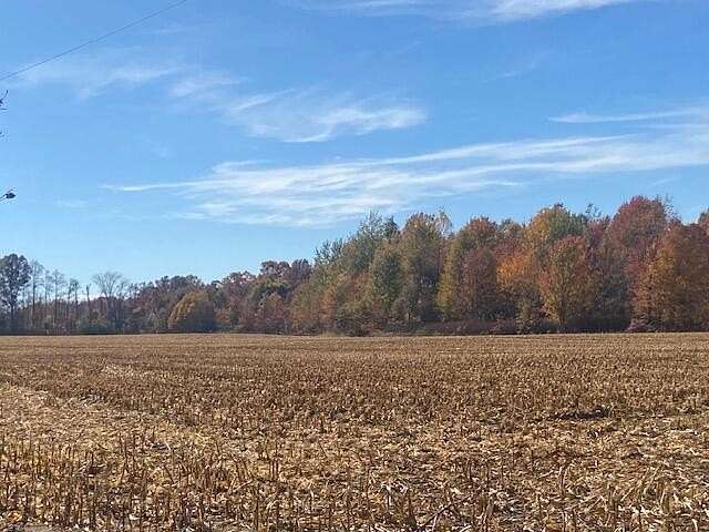 48.23 Acres of Recreational Land & Farm for Sale in Grand Junction, Michigan