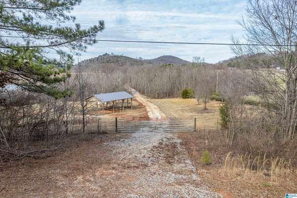 41.19 Acres of Land for Sale in Anniston, Alabama