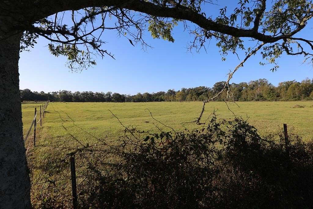 51 Acres of Land for Sale in Colquitt, Georgia