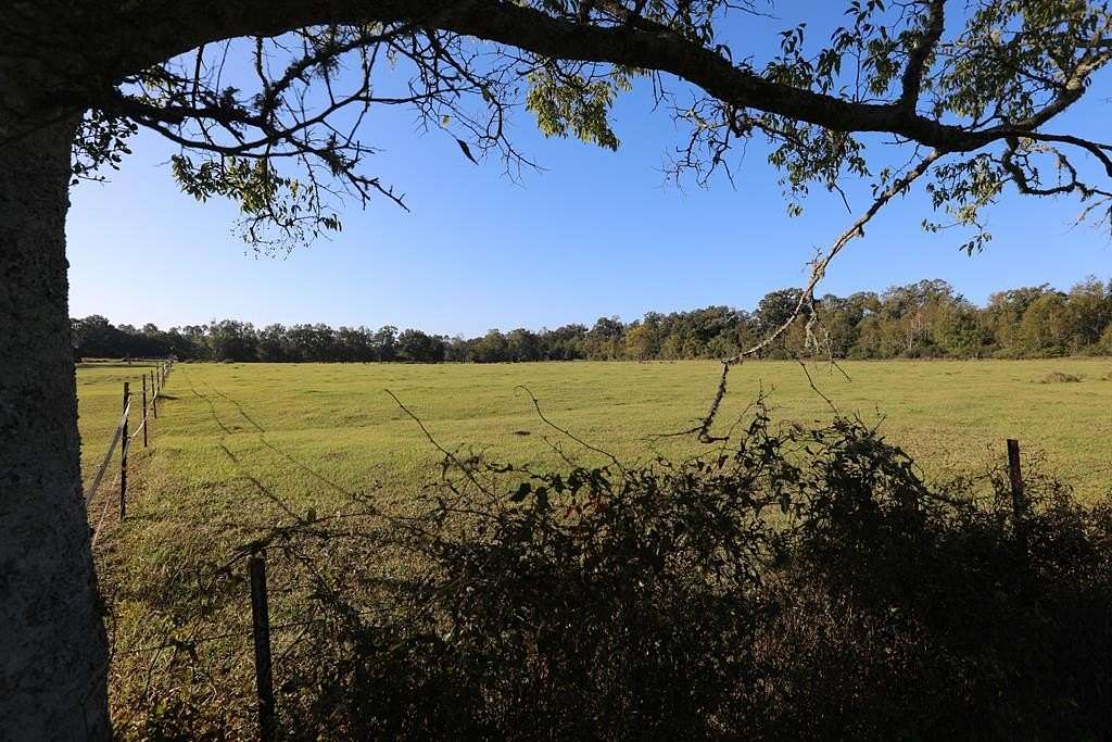 62 Acres of Land for Sale in Colquitt, Georgia