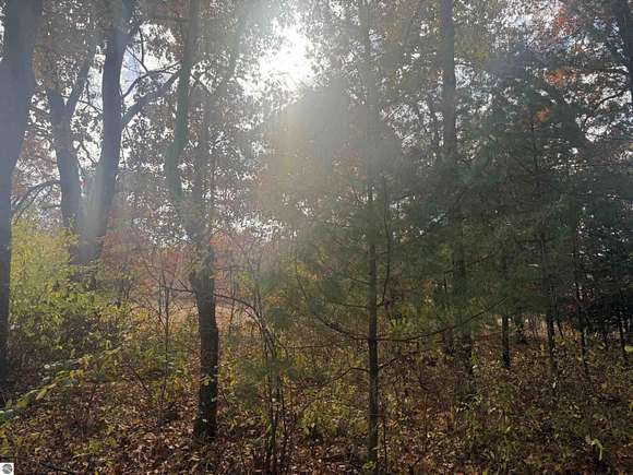 3 Acres of Land for Sale in White Cloud, Michigan