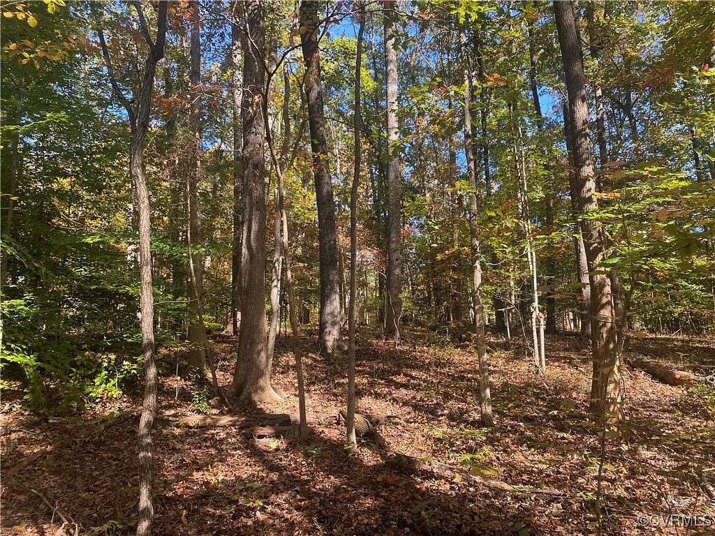 3.14 Acres of Residential Land for Sale in Crozier, Virginia