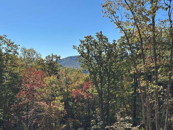 1 Acre of Residential Land for Sale in Hayesville, North Carolina