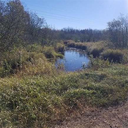 40 Acres of Recreational Land for Sale in Grand Lake Township, Minnesota