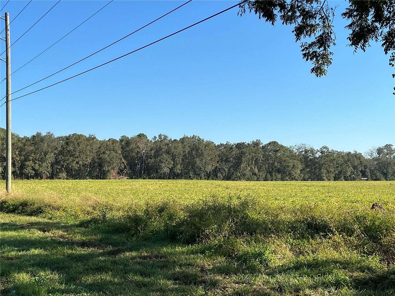 23.5 Acres of Land for Sale in Bell, Florida