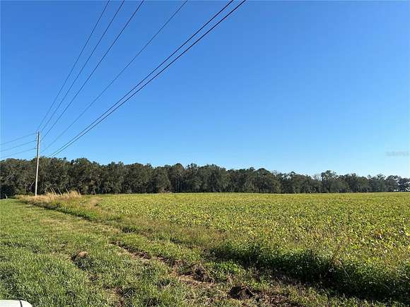 23.5 Acres of Land for Sale in Bell, Florida - LandSearch