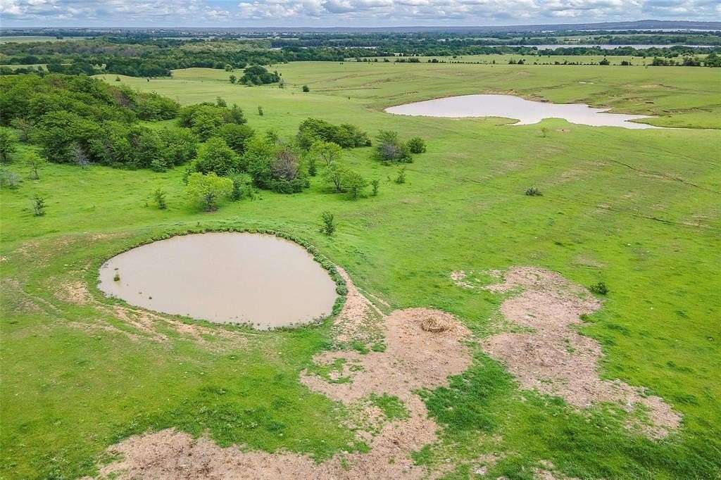 55 Acres of Recreational Land & Farm for Sale in Valley View, Texas