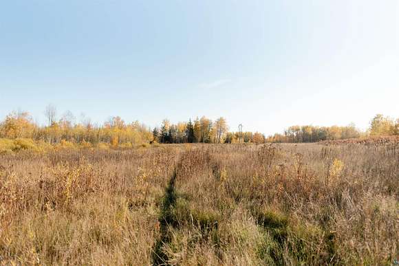 97 Acres of Agricultural Land for Sale in Esko, Minnesota