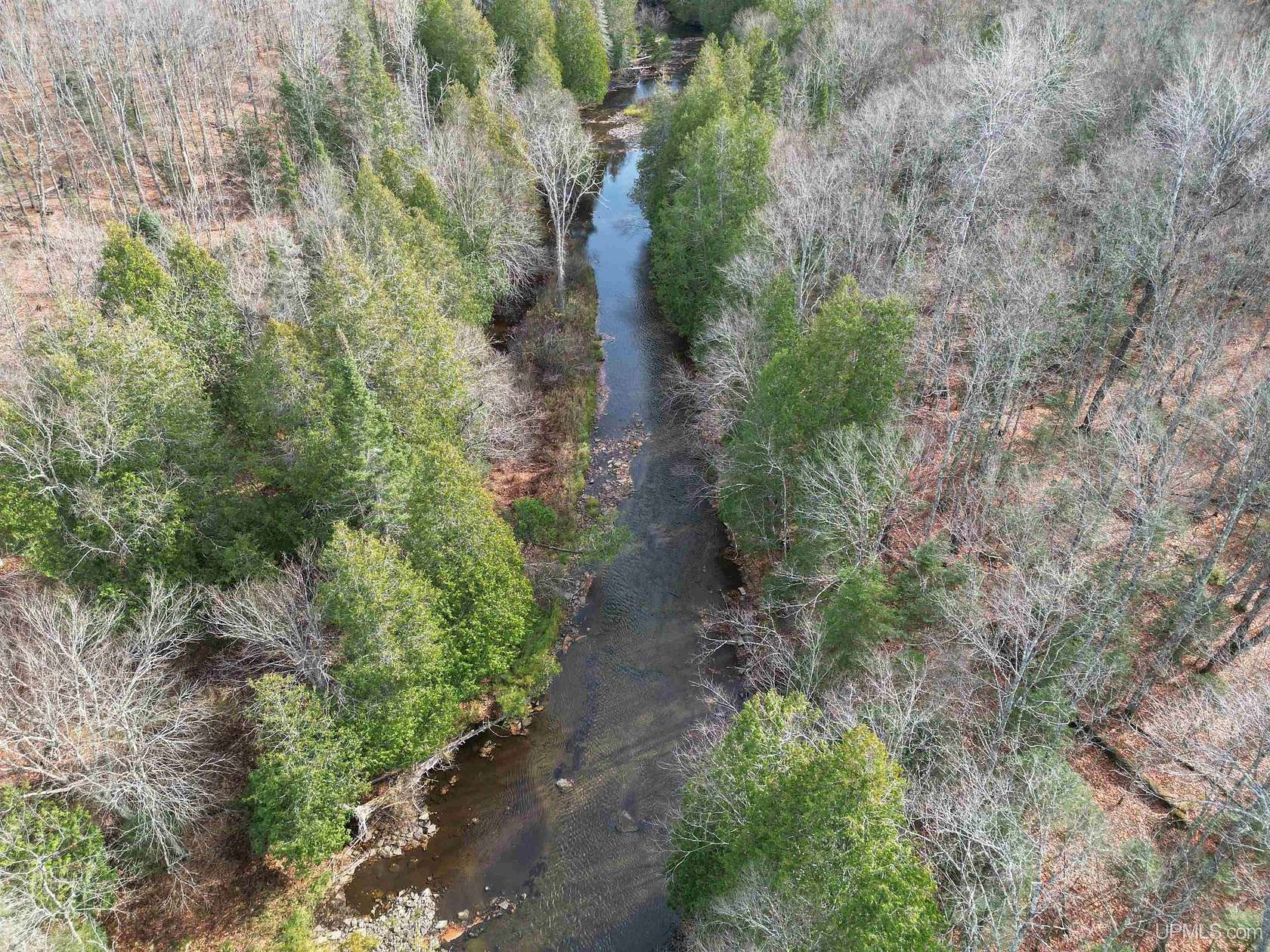 62 Acres of Recreational Land for Sale in Trenary, Michigan