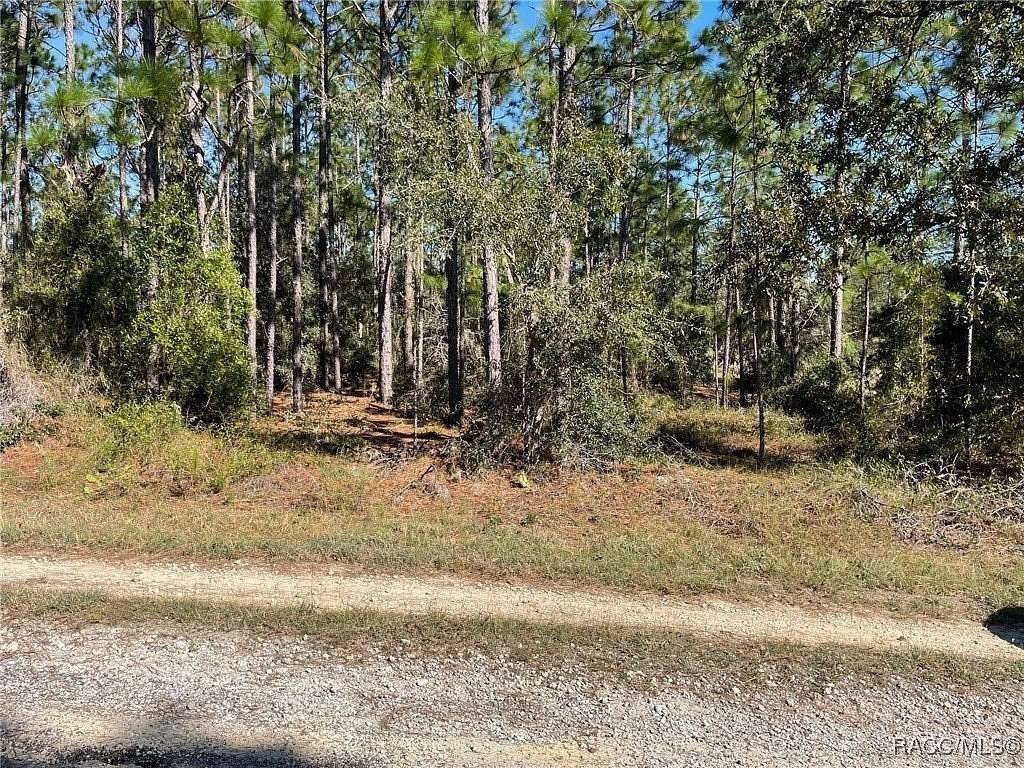 2 Acres of Residential Land for Sale in Dunnellon, Florida