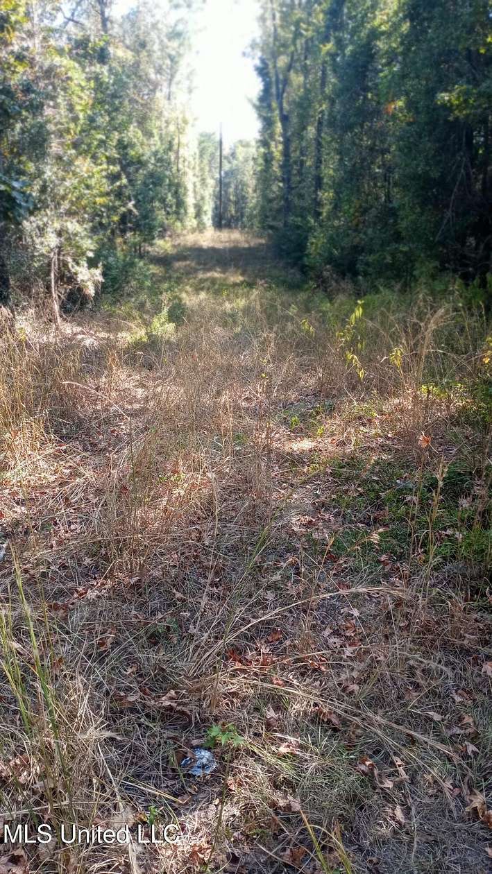 17.23 Acres of Recreational Land for Sale in McLain, Mississippi ...