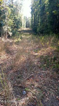 17.23 Acres of Recreational Land for Sale in McLain, Mississippi