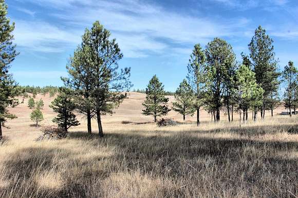 3.7 Acres of Residential Land for Sale in Pringle, South Dakota