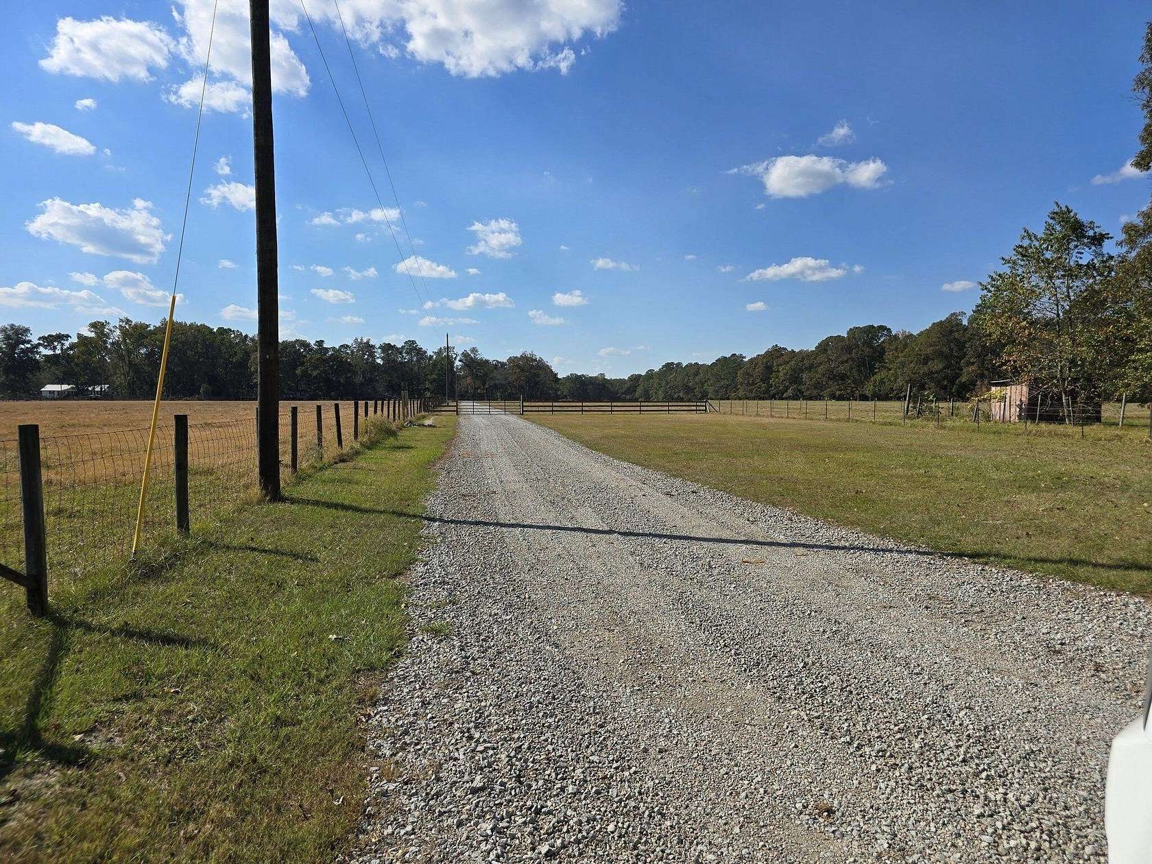 31.1 Acres of Land for Sale in Walterboro, South Carolina