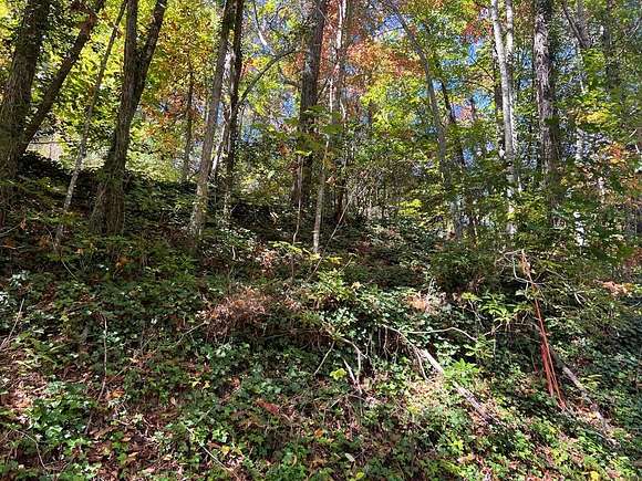 1.19 Acres of Residential Land for Sale in Sylva, North Carolina