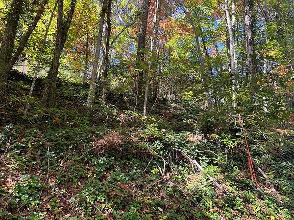 1.19 Acres of Land for Sale in Sylva, North Carolina