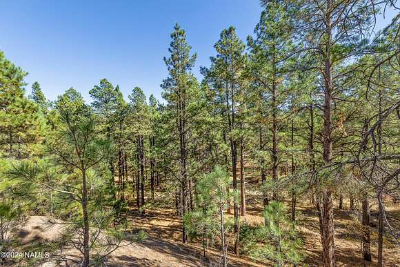 6.63 Acres of Residential Land for Sale in Williams, Arizona