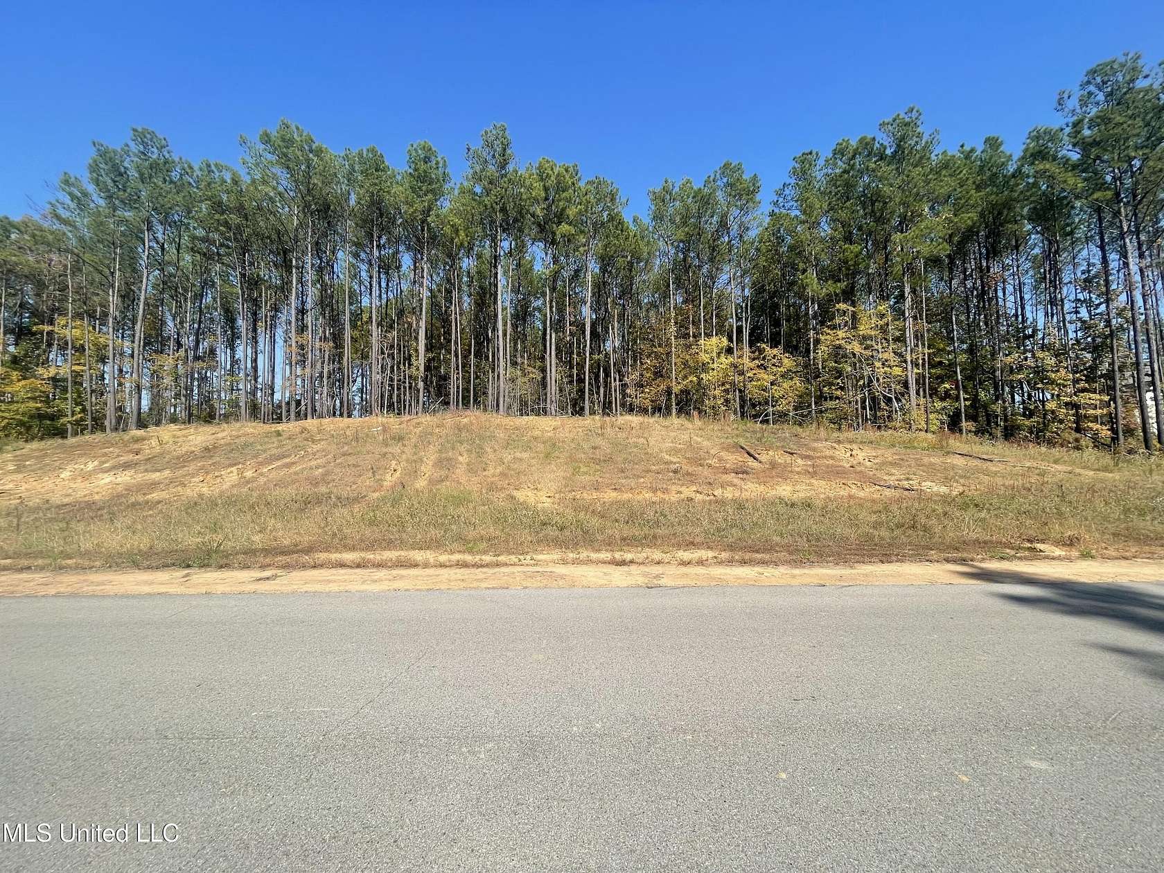 2 Acres of Residential Land for Sale in Byhalia, Mississippi