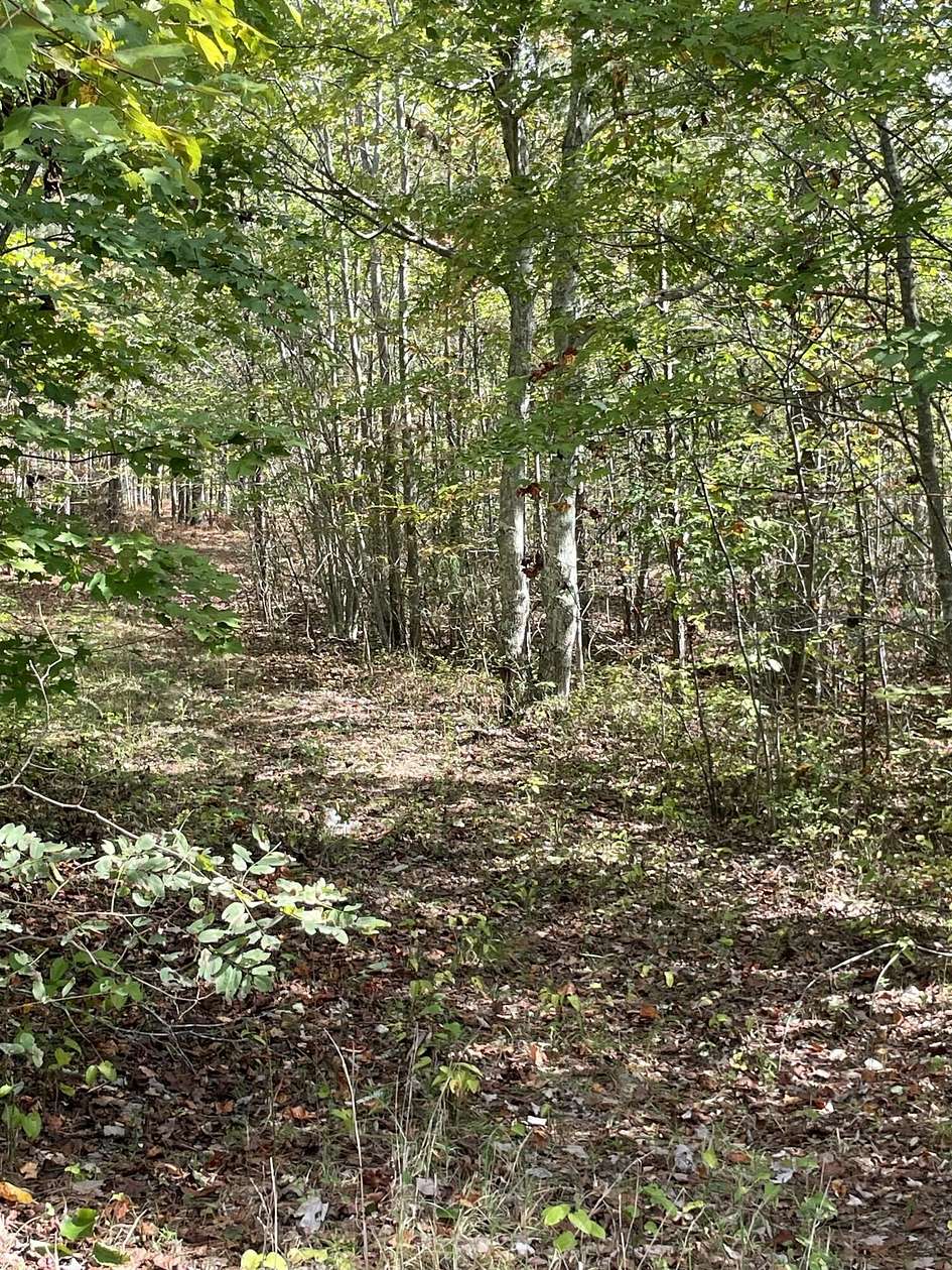 1.66 Acres of Residential Land for Sale in Jasper, Tennessee