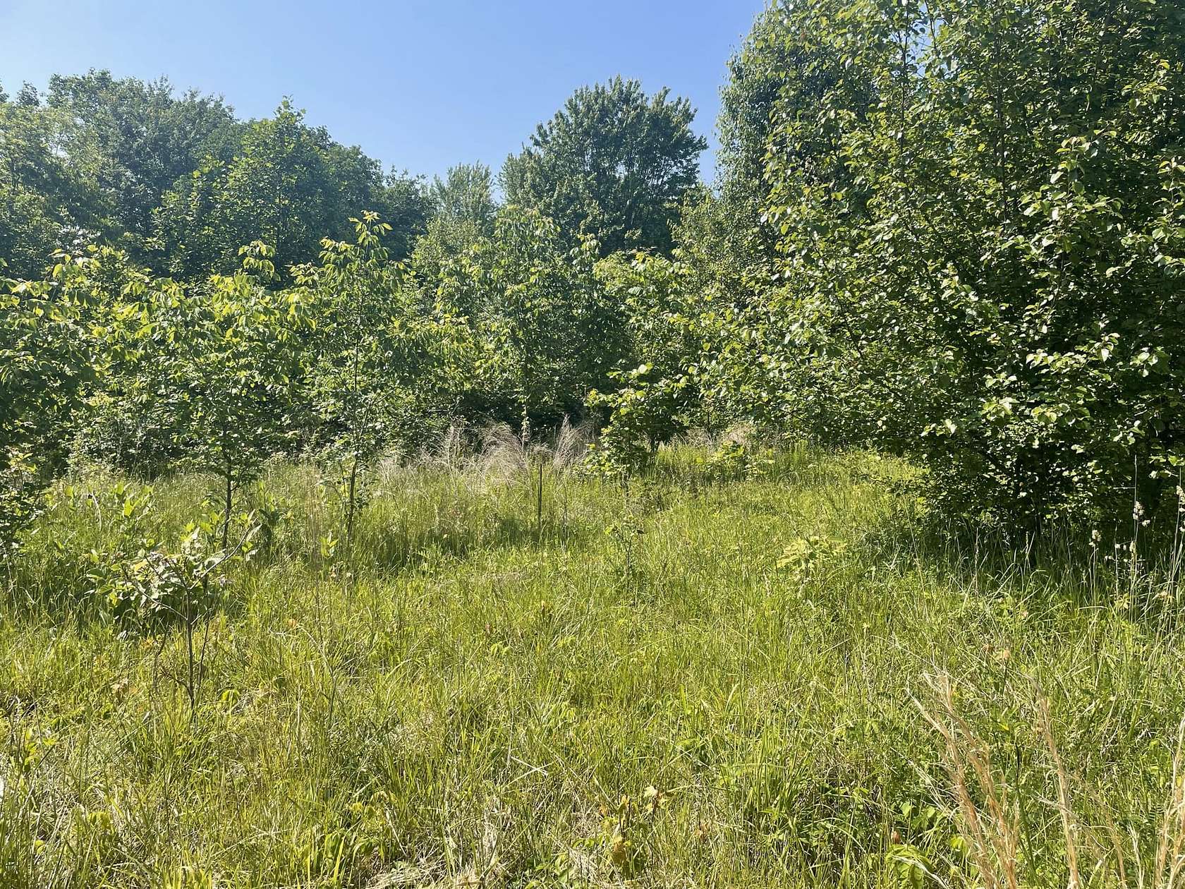 2.45 Acres of Recreational Land for Sale in Marengo, Indiana