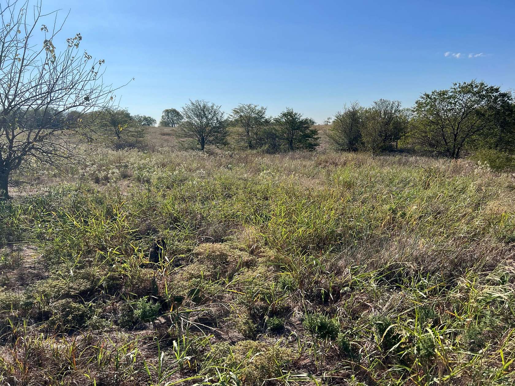 10.01 Acres of Recreational Land with Home for Sale in Gainesville, Texas