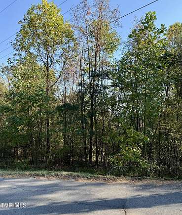 4.53 Acres of Residential Land for Sale in Kingsport, Tennessee