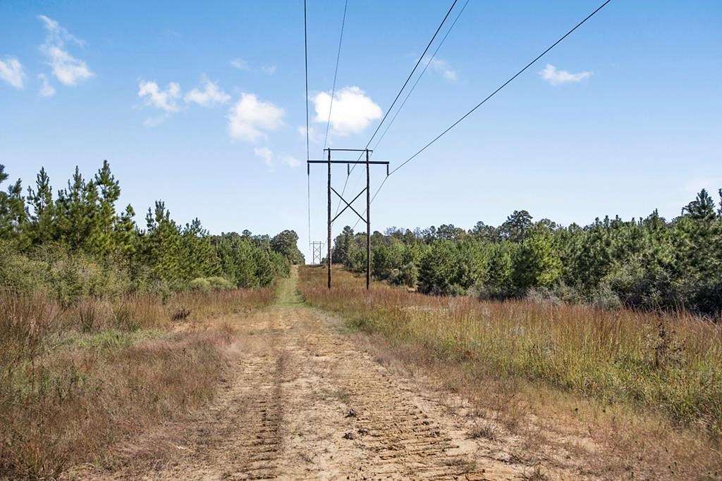 53 Acres of Recreational Land & Farm for Sale in McCall Creek, Mississippi