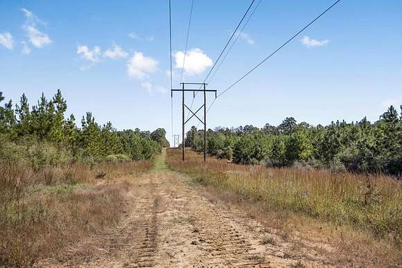 53 Acres of Recreational Land & Farm for Sale in McCall Creek, Mississippi