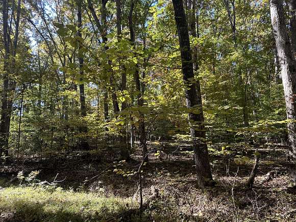 0.4 Acres of Residential Land for Sale in Baneberry, Tennessee