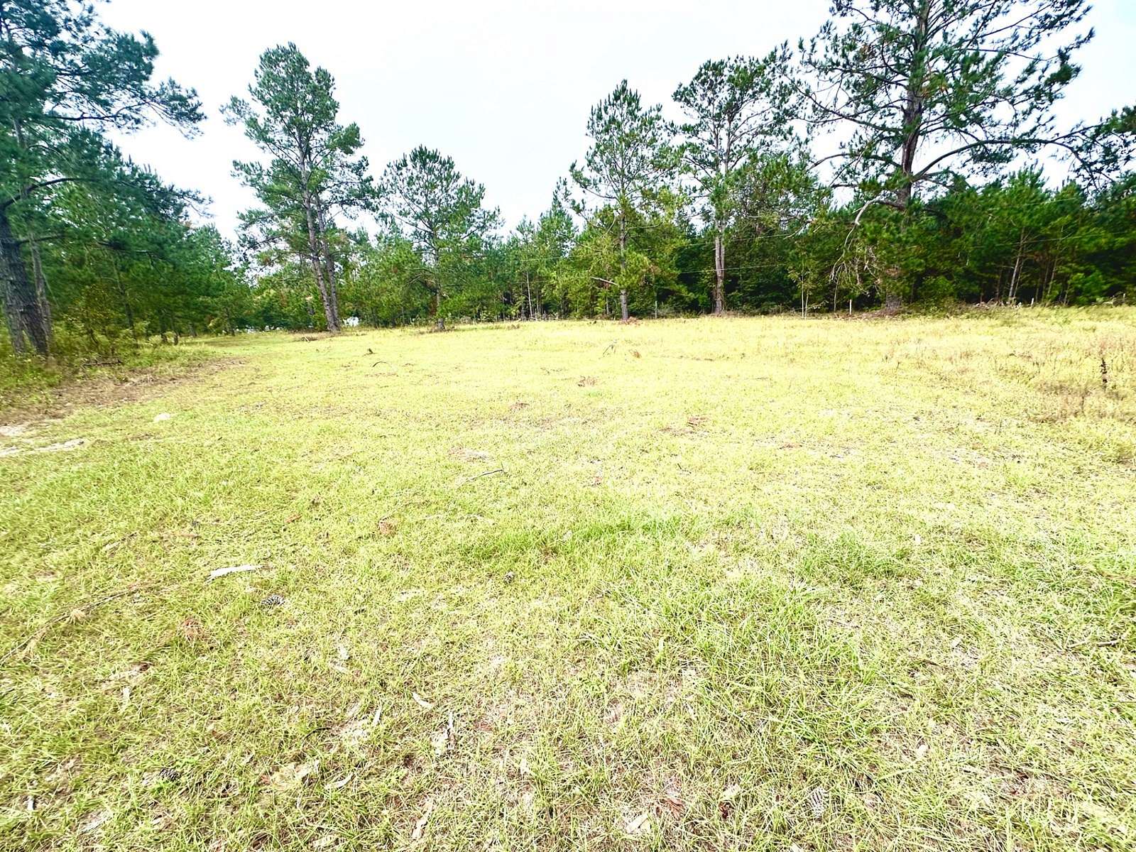 5.99 Acres of Land for Sale in Live Oak, Florida