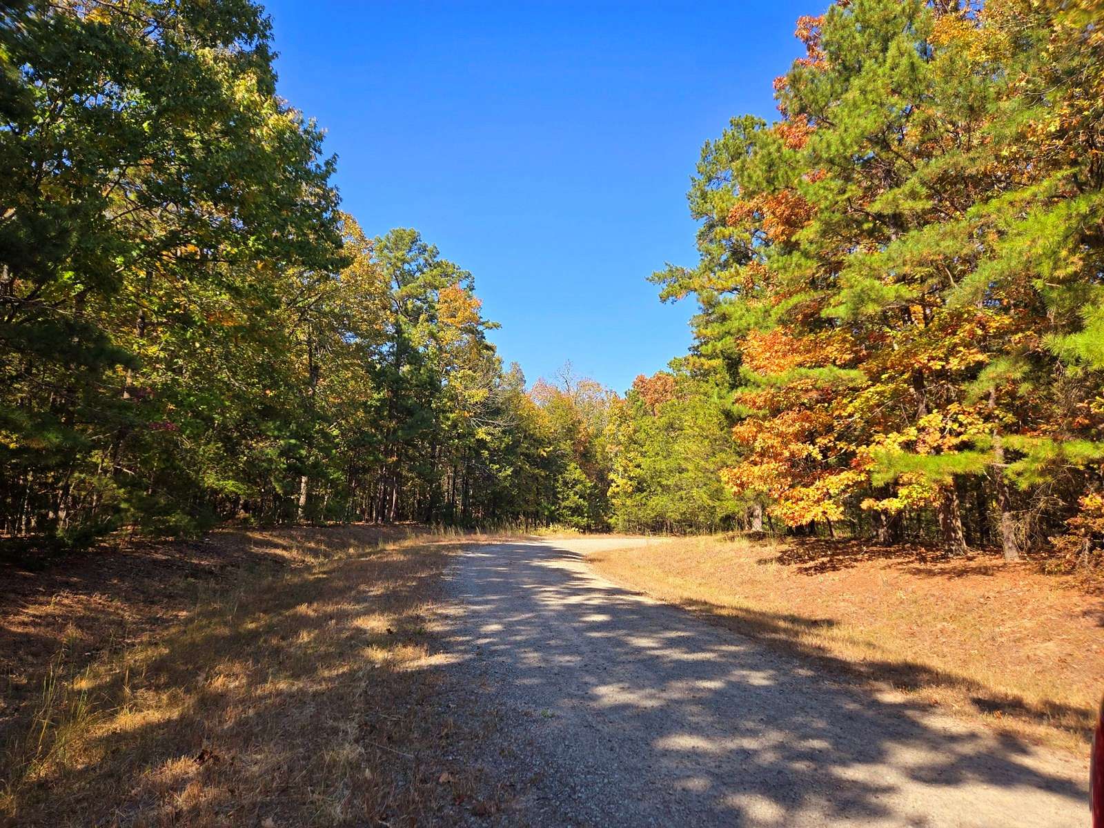 0.33 Acres of Residential Land for Sale in Fairfield Bay, Arkansas