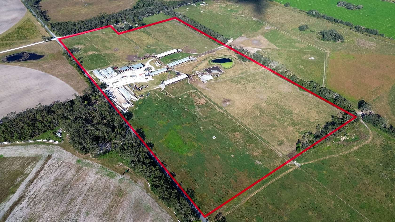 70 Acres of Agricultural Land for Sale in McAlpin, Florida