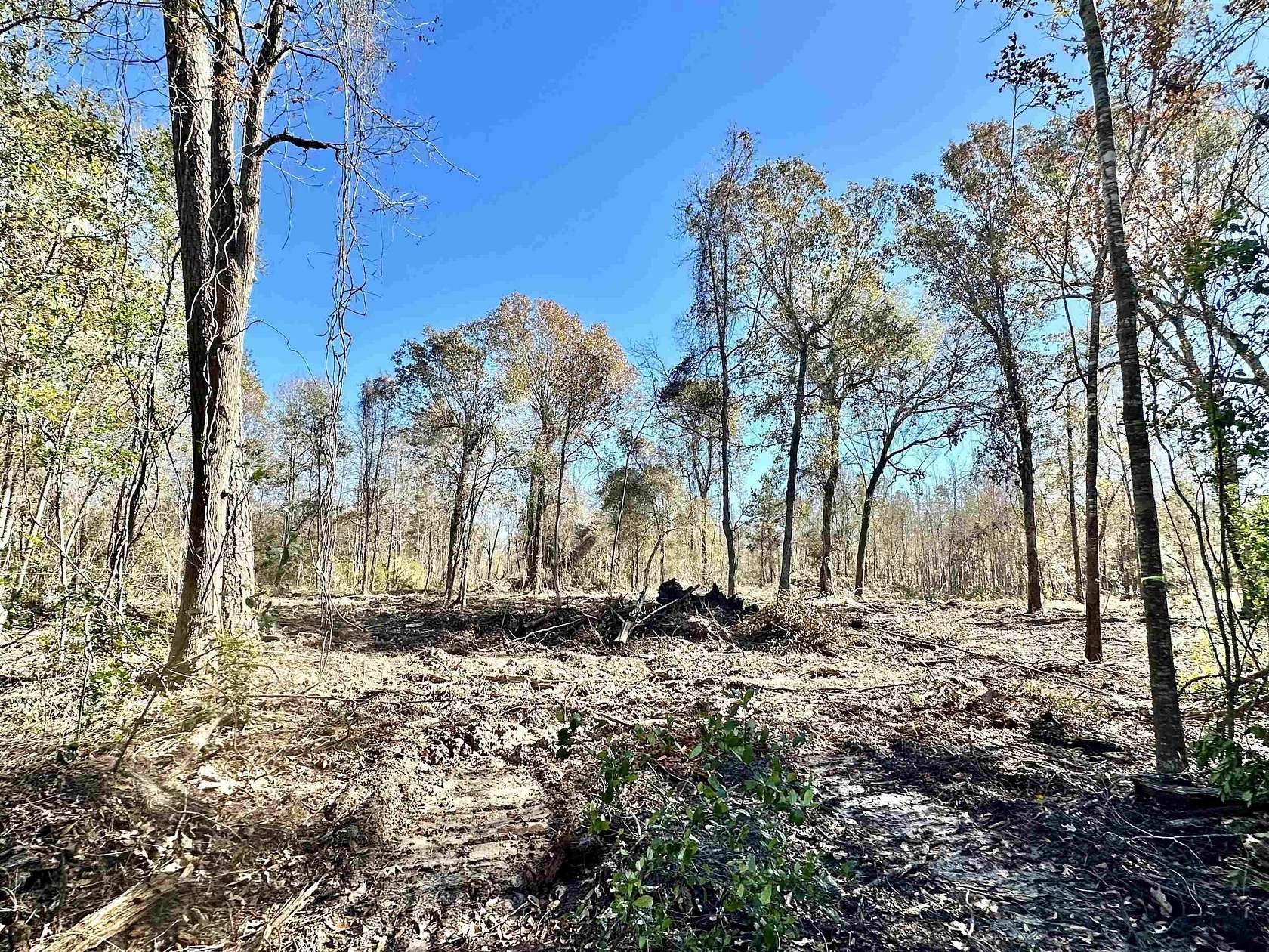 4 Acres of Residential Land for Sale in China, Texas