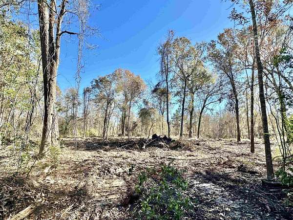 4 Acres of Residential Land for Sale in China, Texas