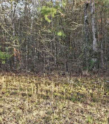 3.39 Acres of Residential Land for Sale in Silsbee, Texas