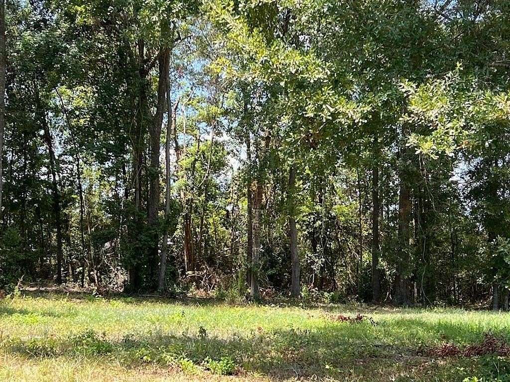 0.4 Acres of Land for Sale in Silsbee, Texas