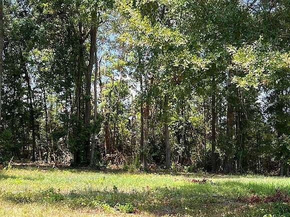 0.4 Acres of Land for Sale in Silsbee, Texas