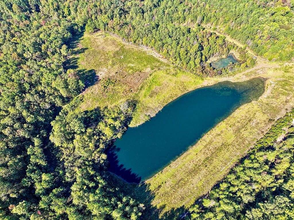 185 Acres of Recreational & Residential Land for Sale in Toomsboro, Georgia