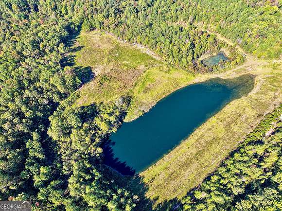 185 Acres of Land for Sale in Toomsboro, Georgia