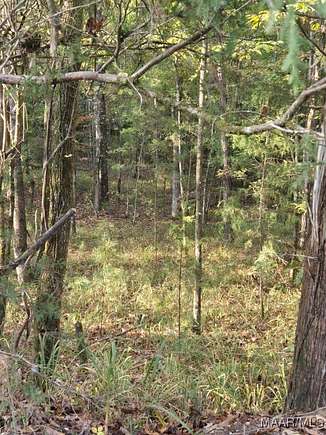 46 Acres of Recreational Land for Sale in Fort Deposit, Alabama