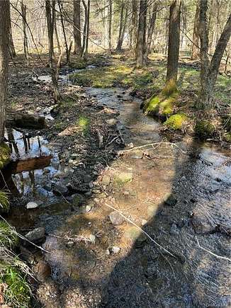 5 Acres of Land for Sale in Hancock, New York