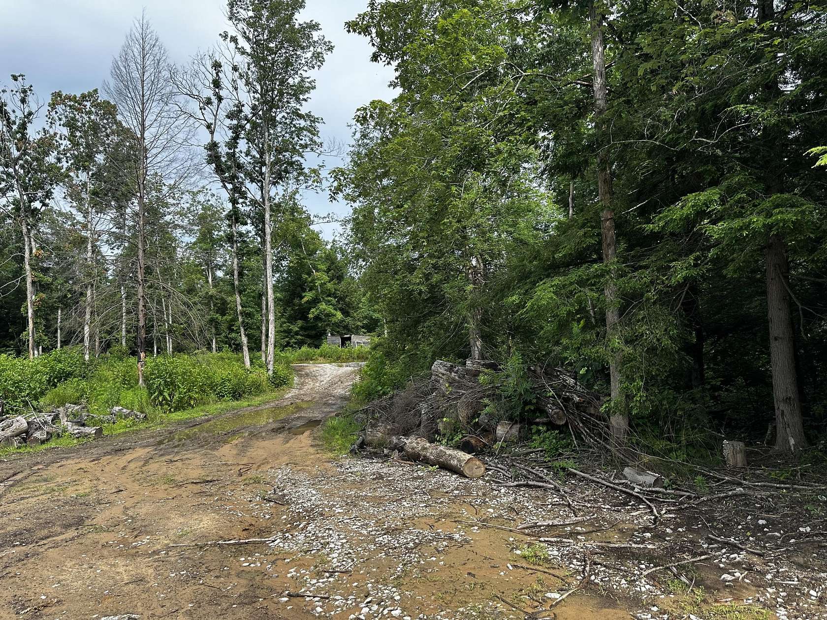 80 Acres of Recreational Land for Sale in Corbin, Kentucky