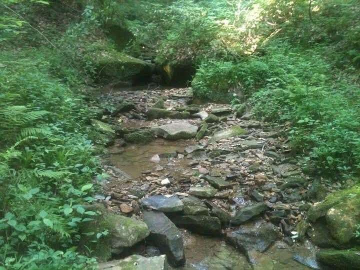 80 Acres of Recreational Land for Sale in Corbin, Kentucky