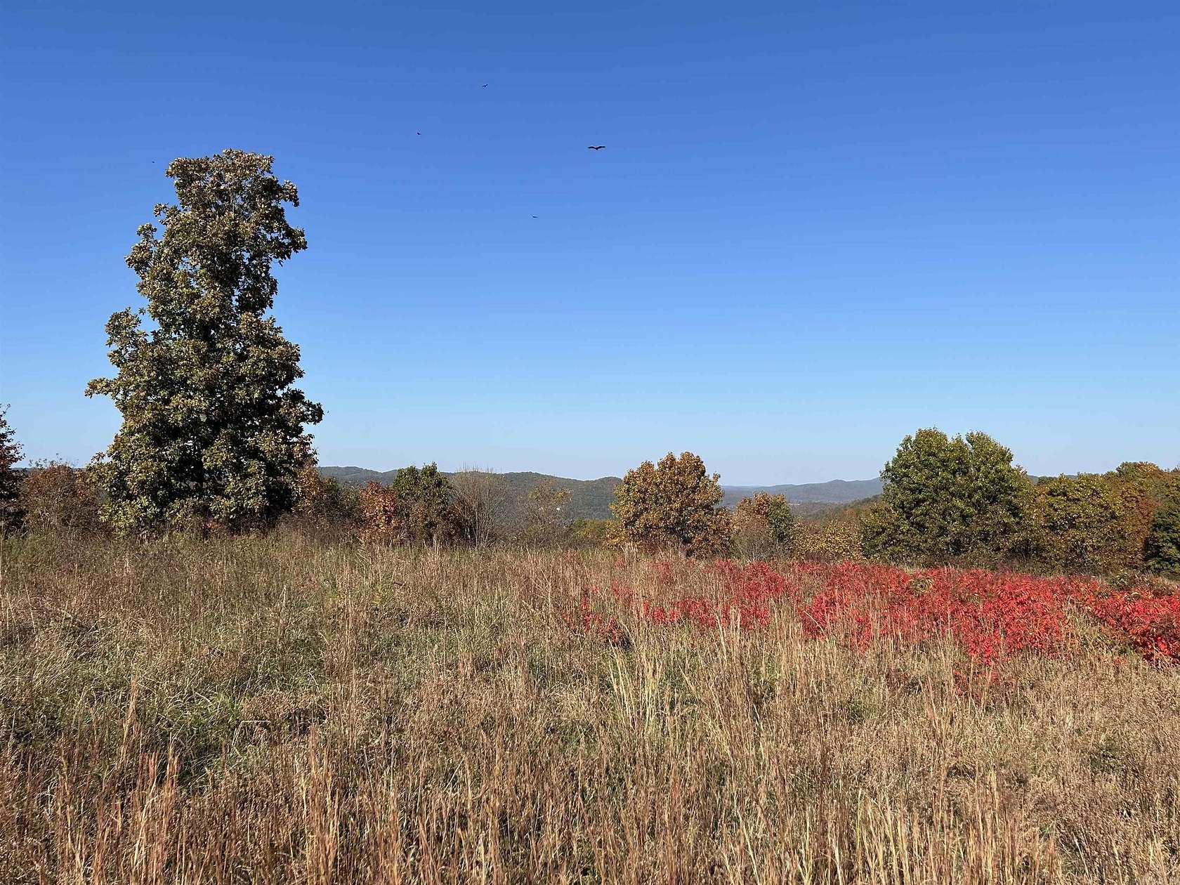 6.62 Acres of Residential Land for Sale in Mountain View, Arkansas