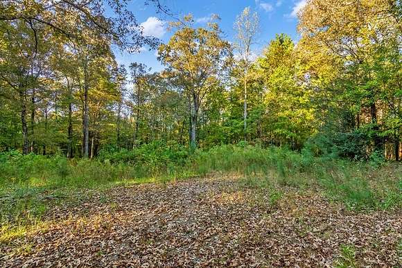 7.89 Acres of Residential Land for Sale in Ellijay, Georgia