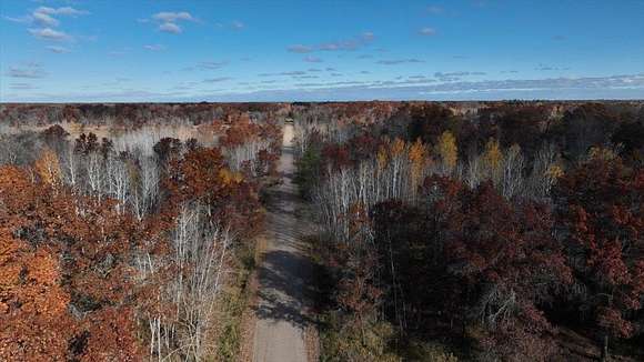 40.41 Acres of Recreational Land for Sale in Hancock, Wisconsin