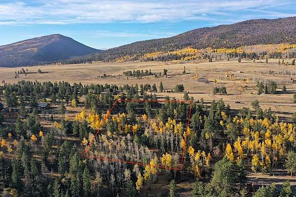 Residential Land for Sale in Hartsel, Colorado